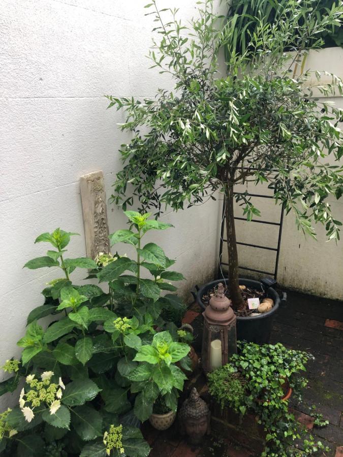 Olive Tree Apartment Hove Екстериор снимка