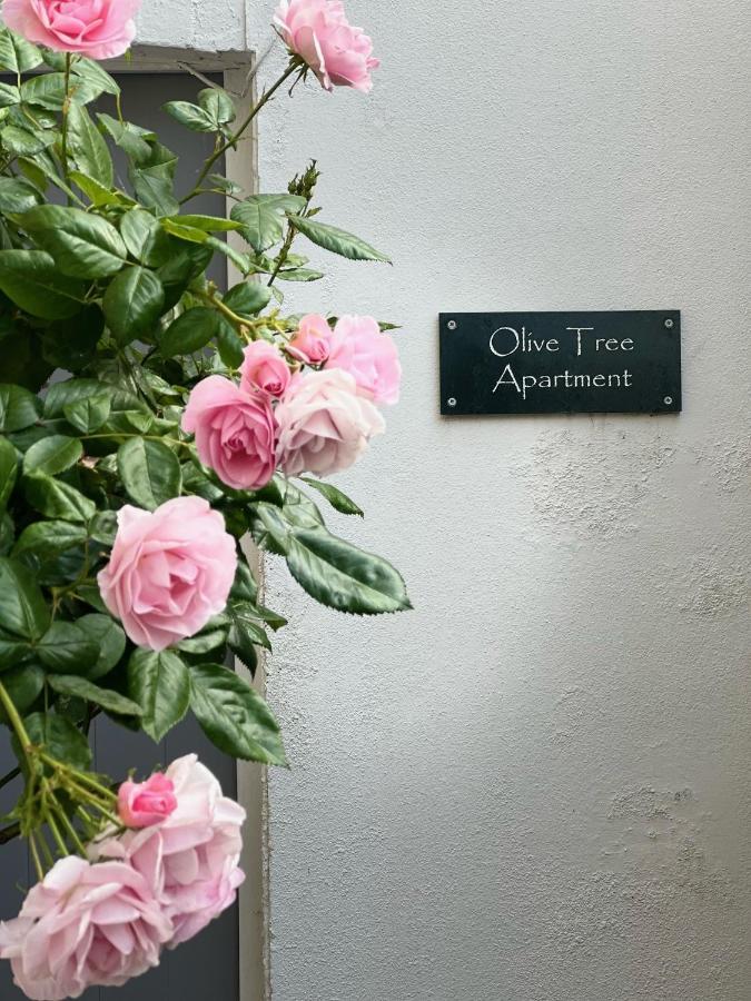 Olive Tree Apartment Hove Екстериор снимка