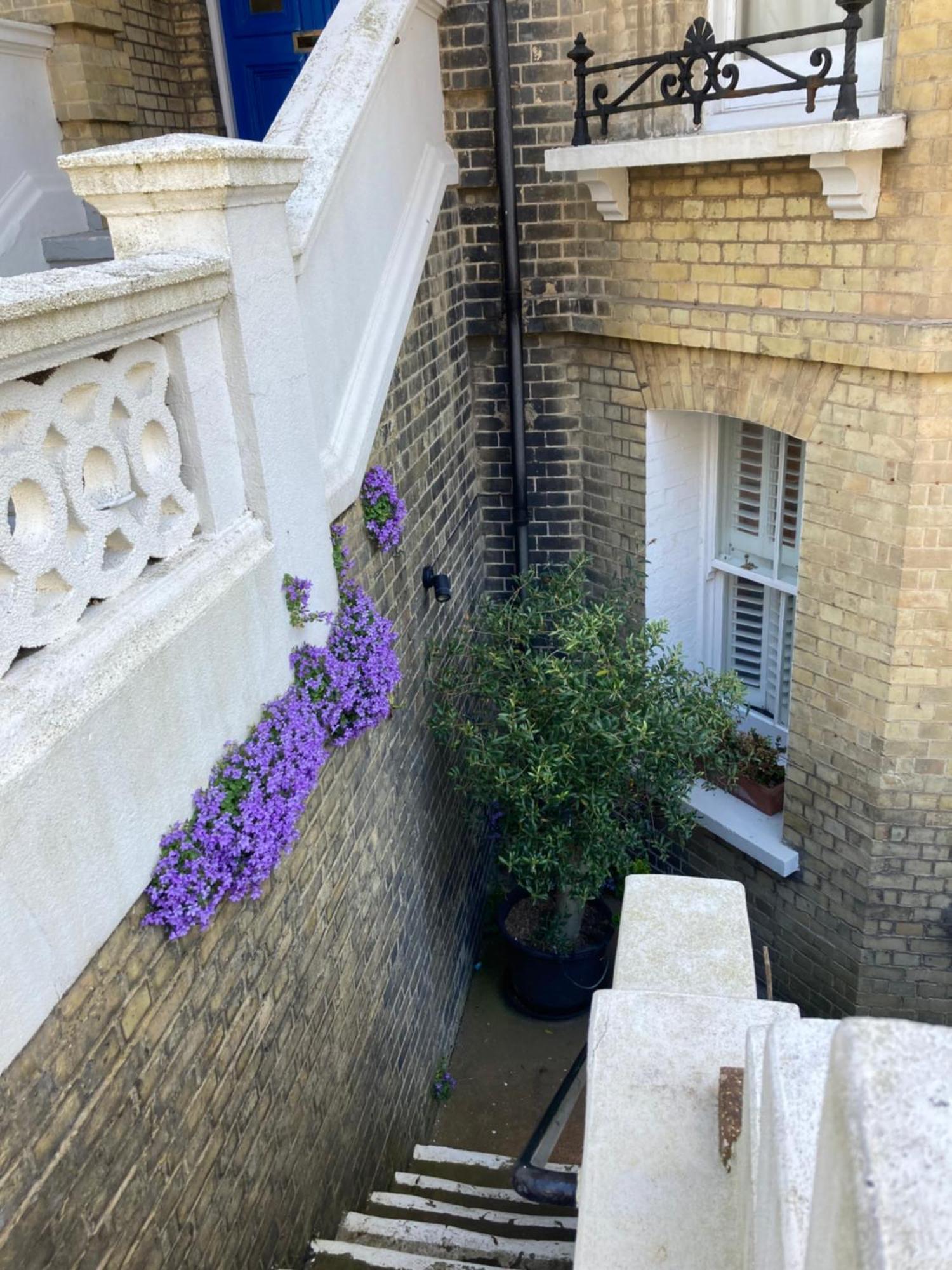 Olive Tree Apartment Hove Стая снимка